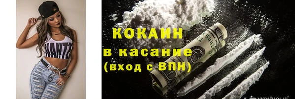 трава Арсеньев