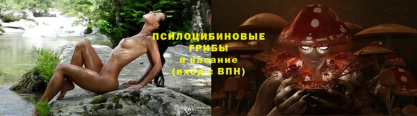 трава Арсеньев