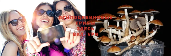 spice Армянск