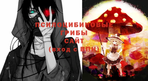 spice Армянск