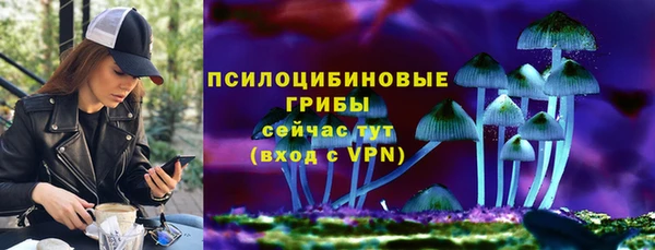 MESCALINE Аркадак